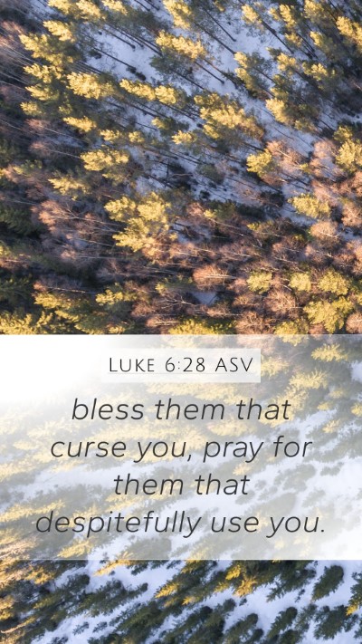 Luke 6:28 ASV Bible Verse Image