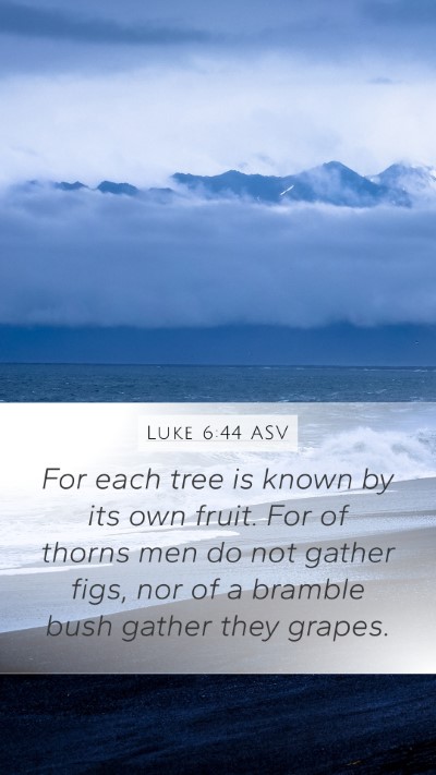 Luke 6:44 ASV Mobile Phone Wallpaper - For each tree is known by its own fruit. For of - Mobile Bible Verse Wallpaper