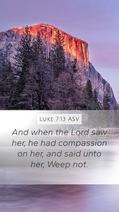Luke 7:13 ASV Bible Verse Image
