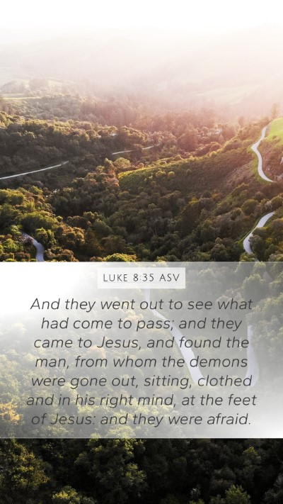 Luke 8:35 ASV Bible Verse Image