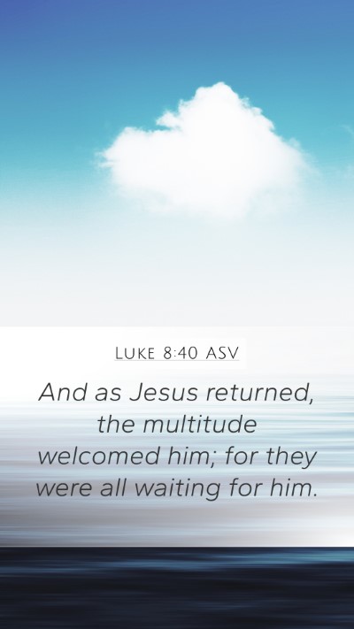 Luke 8:40 ASV Bible Verse Image