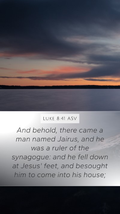 Luke 8:41 ASV Bible Verse Image