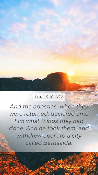 Luke 9:10 ASV Bible Verse Image