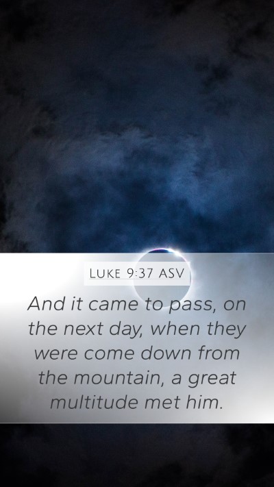 Luke 9:37 ASV Bible Verse Image