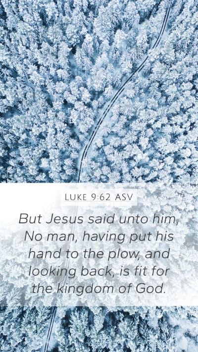 Luke 9:62 ASV Bible Verse Image
