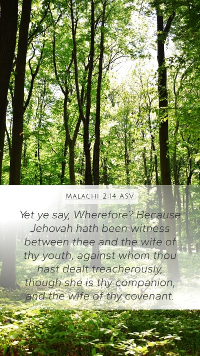 Malachi 2:14 ASV Bible Verse Image