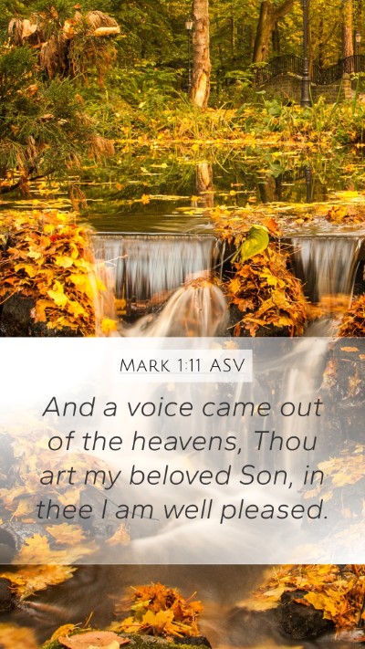 Mark 1:11 ASV Bible Verse Image