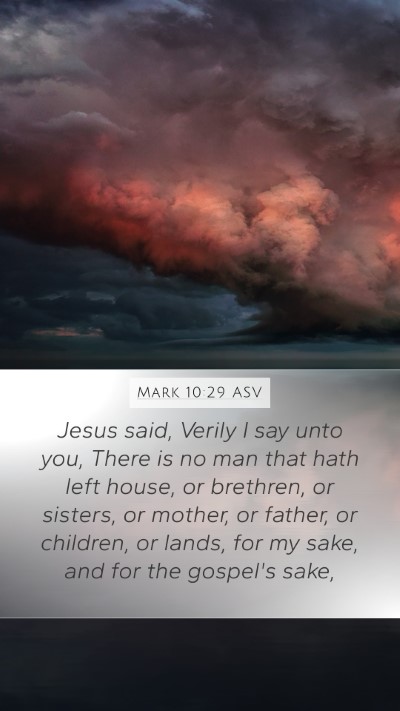 Mark 10:29 ASV Bible Verse Image