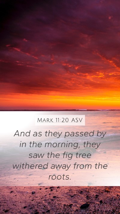 Mark 11:20 ASV Mobile Phone Wallpaper - And as they passed by in the morning, they saw - Mobile Bible Verse Wallpaper