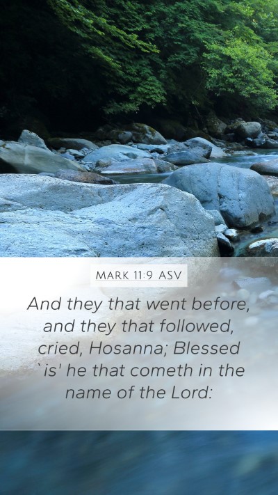 Mark 11:9 ASV Bible Verse Image