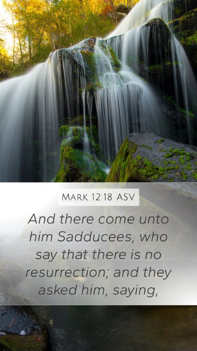Mark 12:18 ASV Bible Verse Image