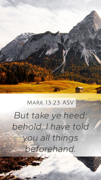 Mark 13:23 ASV Bible Verse Image