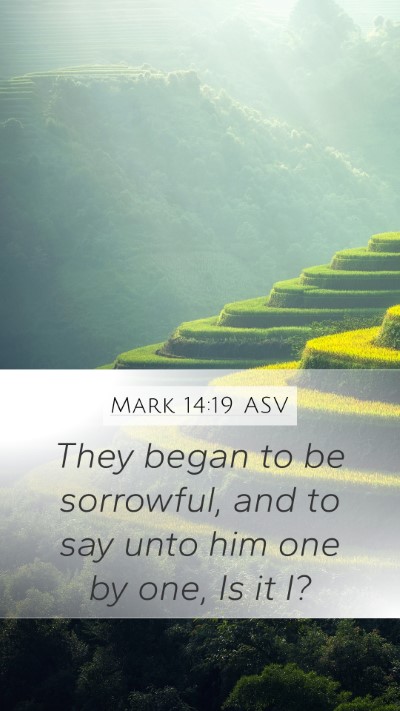 Mark 14:19 ASV Bible Verse Image