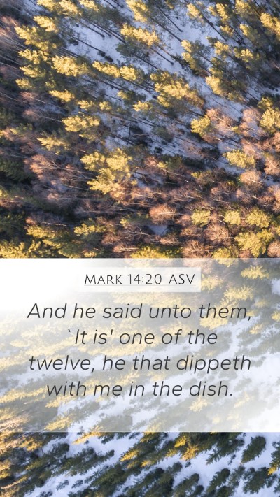 Mark 14:20 ASV Bible Verse Image