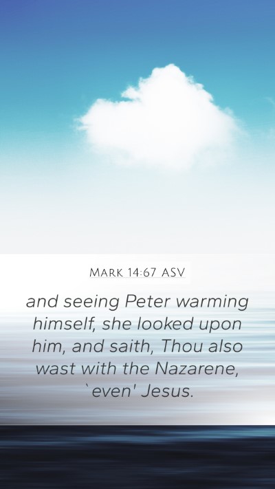 Mark 14:67 ASV Mobile Phone Wallpaper - and seeing Peter warming himself, she looked upon - Mobile Bible Verse Wallpaper
