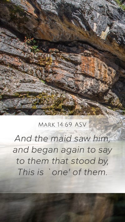 Mark 14:69 ASV Bible Verse Image