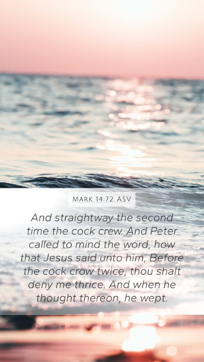 Mark 14:72 ASV Bible Verse Image