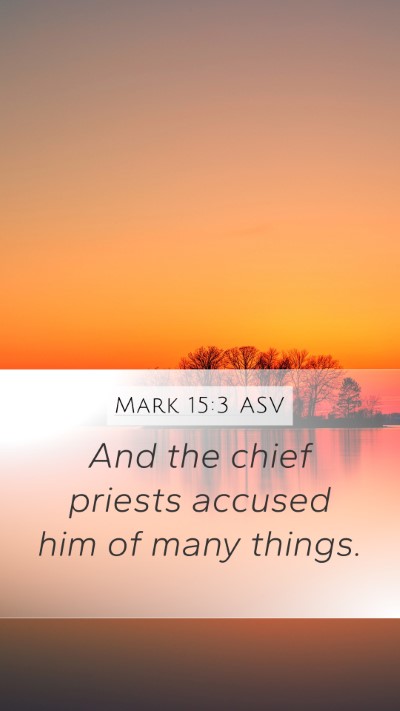 Mark 15:3 ASV Bible Verse Image