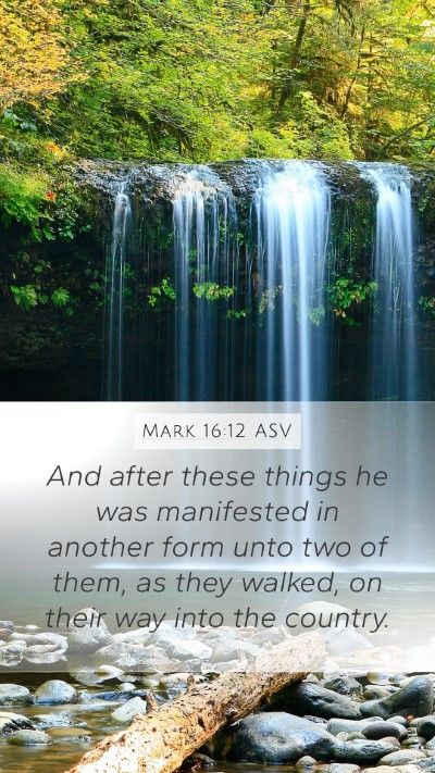 Mark 16:12 ASV Bible Verse Image