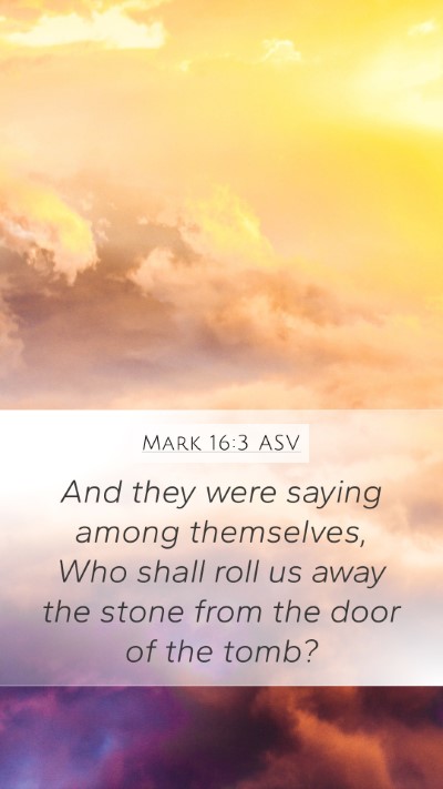 Mark 16:3 ASV Bible Verse Image