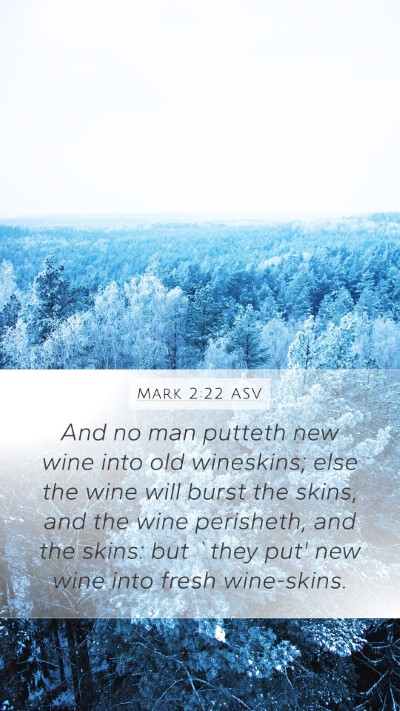 Mark 2:22 ASV Bible Verse Image