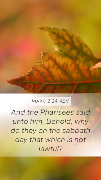 Mark 2:24 ASV Bible Verse Image