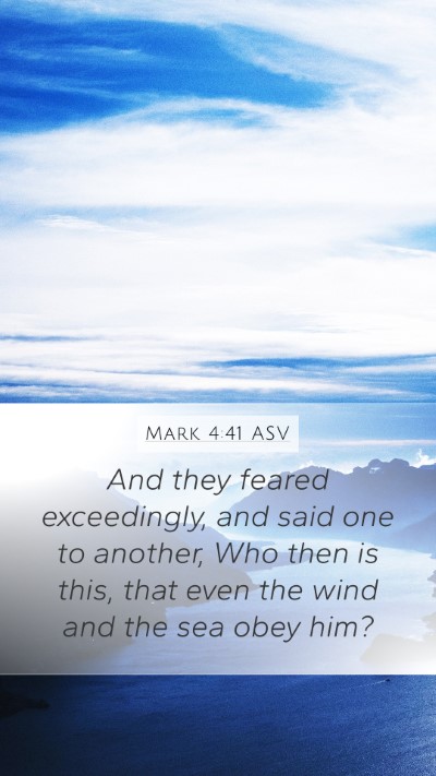 Mark 4:41 ASV Bible Verse Image