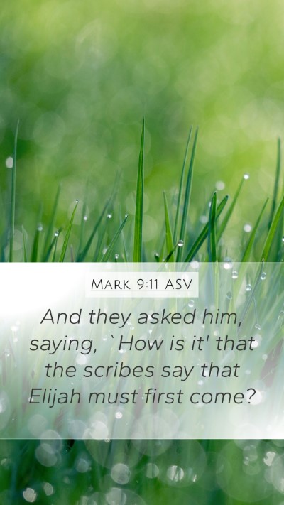 Mark 9:11 ASV Bible Verse Image