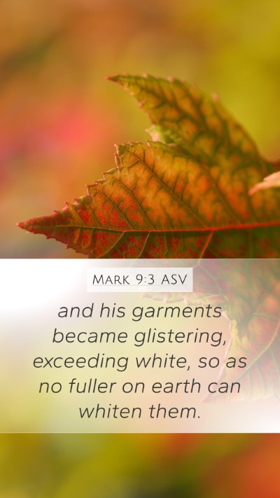 Mark 9:3 ASV Bible Verse Image