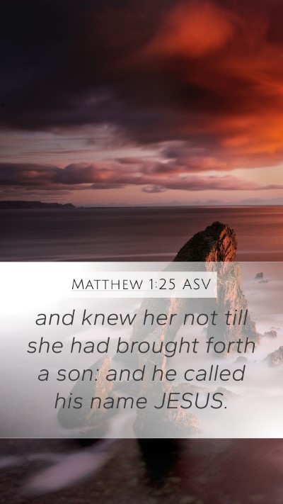Matthew 1:25 ASV Bible Verse Image