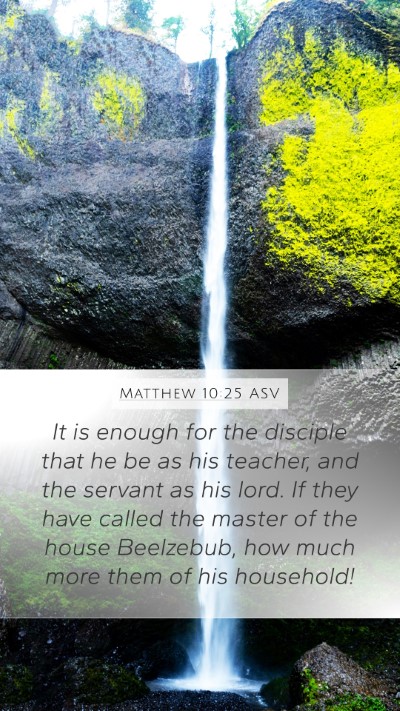 Matthew 10:25 ASV Bible Verse Image