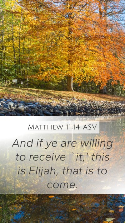 Matthew 11:14 ASV Bible Verse Image