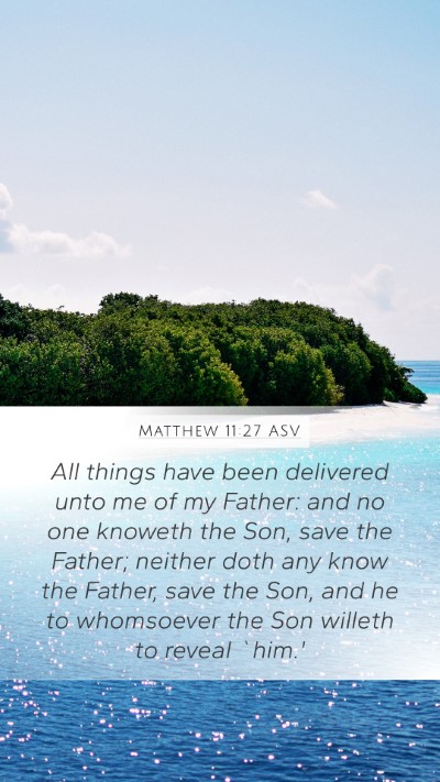Matthew 11:27 ASV Bible Verse Image