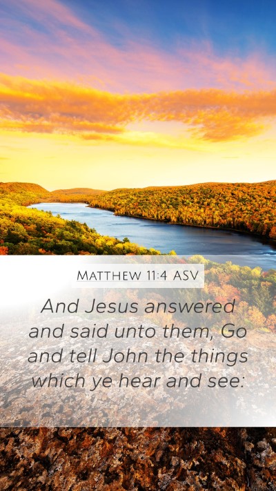Matthew 11:4 ASV Bible Verse Image
