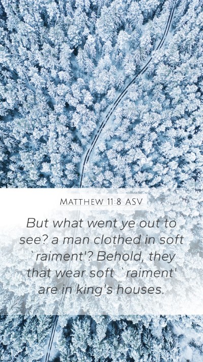 Matthew 11:8 ASV Bible Verse Image