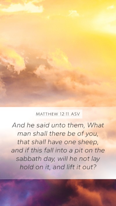 Matthew 12:11 ASV Bible Verse Image