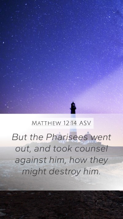 Matthew 12:14 ASV Bible Verse Image