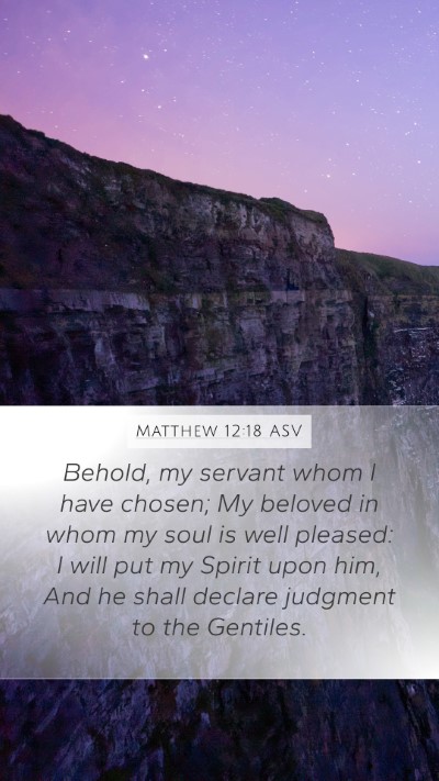 Matthew 12:18 ASV Bible Verse Image