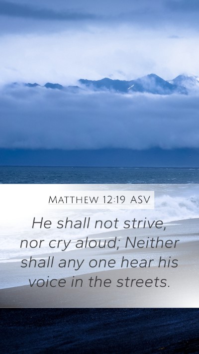 Matthew 12:19 ASV Bible Verse Image