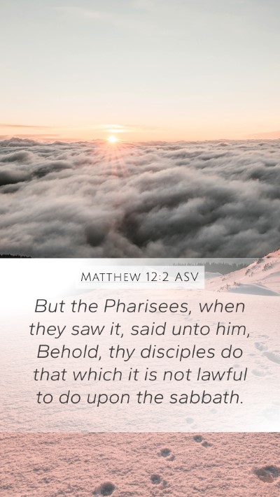 Matthew 12:2 ASV Bible Verse Image