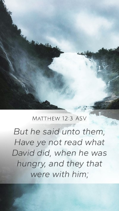 Matthew 12:3 ASV Bible Verse Image