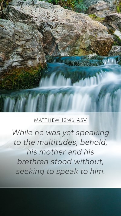 Matthew 12:46 ASV Bible Verse Image