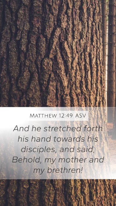 Matthew 12:49 ASV Bible Verse Image
