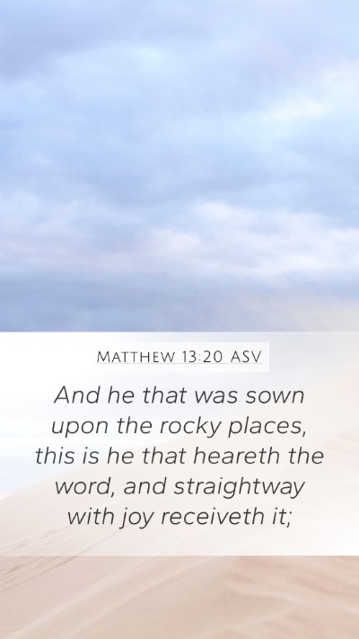 Matthew 13:20 ASV Bible Verse Image