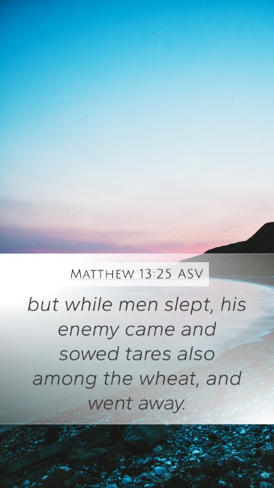 Matthew 13:25 ASV Bible Verse Image
