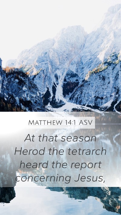 Matthew 14:1 ASV Bible Verse Image