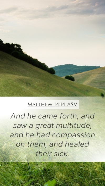 Matthew 14:14 ASV Bible Verse Image