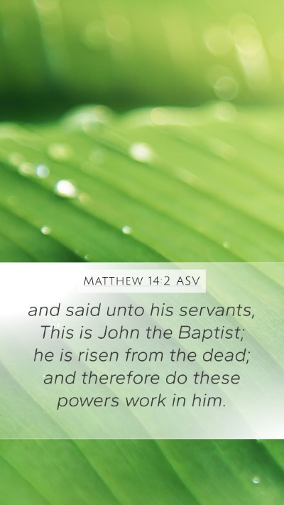 Matthew 14:2 ASV Bible Verse Image
