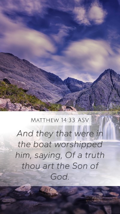 Matthew 14:33 ASV Bible Verse Image