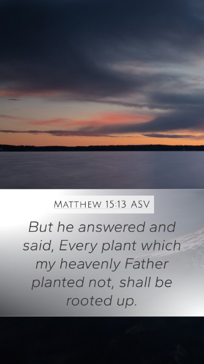 Matthew 15:13 ASV Bible Verse Image